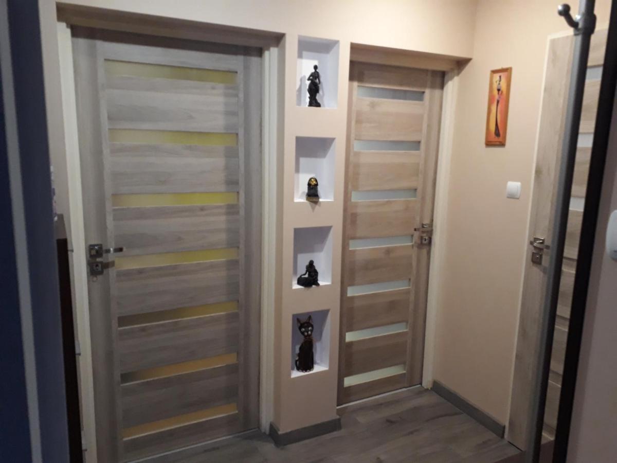 Luz Blues Apartment Ustrzyki Dolne